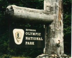 Olympic National Park entrance sign