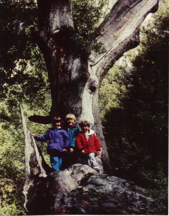 Yosemite 1994 - Kids on a rock