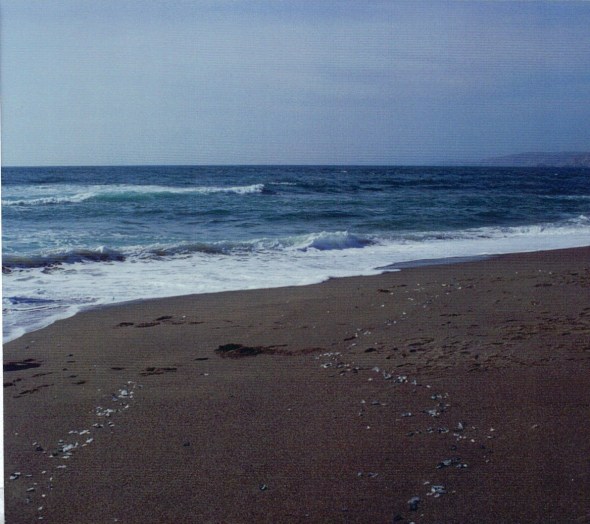 Point Reyes Abbotts Lagoon beach