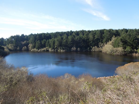 Bass Lake, Point Reyes National Seashore
