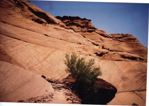 White House ruins trail