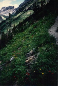 Highline Trail along the Garden Wall, Glacier National Park