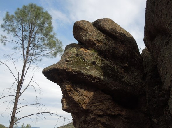 Pinnacles - weird rocks