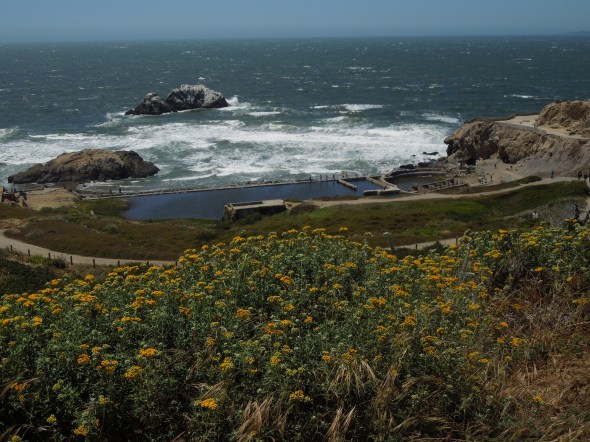 What is left of the historic Sutro Baths