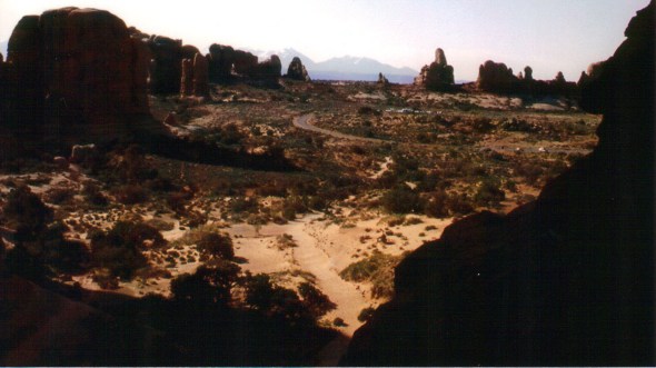 Arches - Windows Section