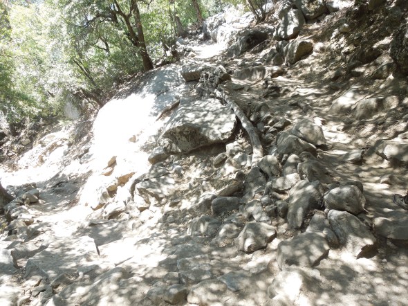 Switchbacks on the trail