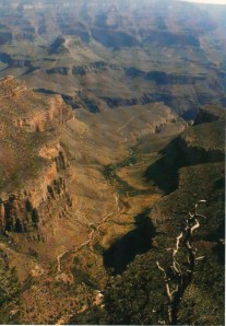Looking down at Indian Gardens