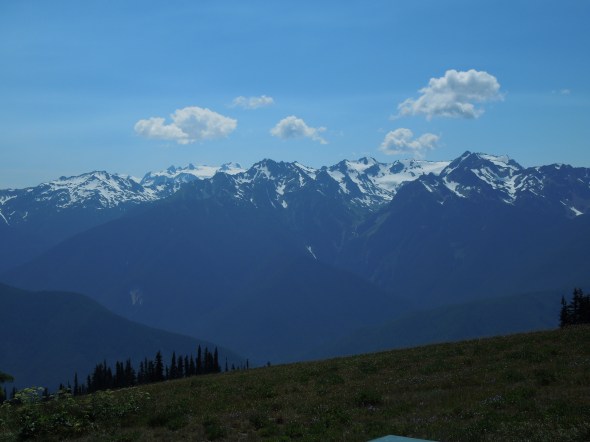 Olympic Mountains from Hurricane Ridge