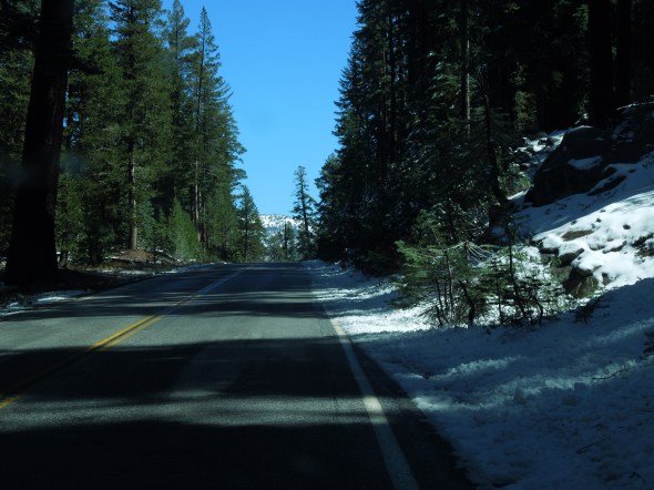 Tioga Road (Highway 120)