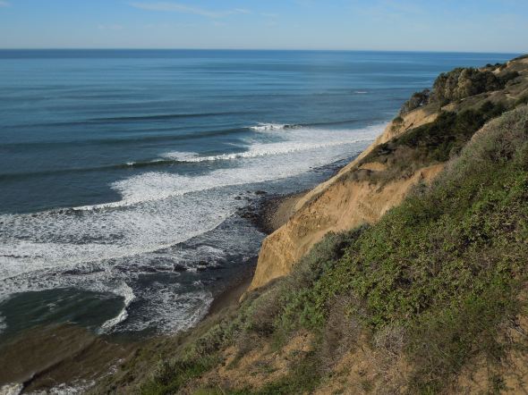 Along the Coastal Trail, Pt. Reyes National Seashore