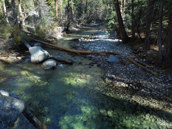 Kings Canyon National Park, CA