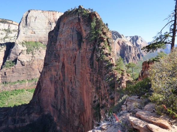 That is really the trail!