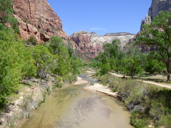 Virgin River in Zion Canyon