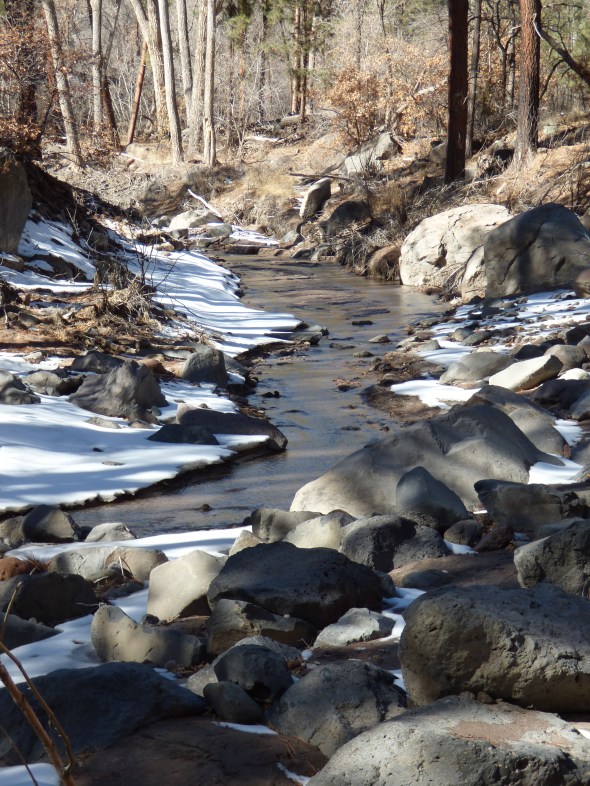El Rito de los Frijoles